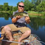 Mitch Wiekert