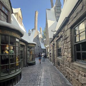 Gallery Photo 53