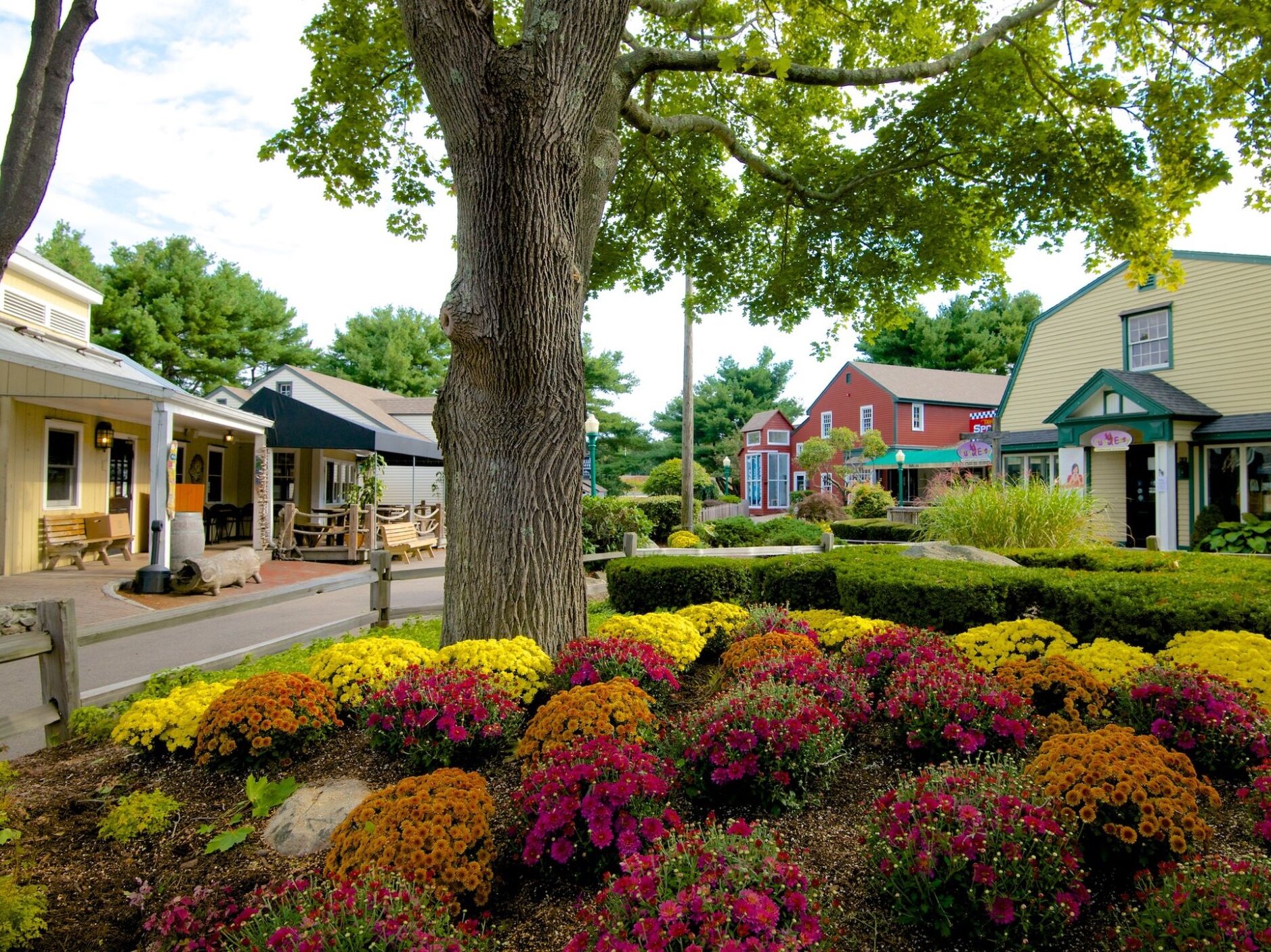 Picture of Olde Mistick Village