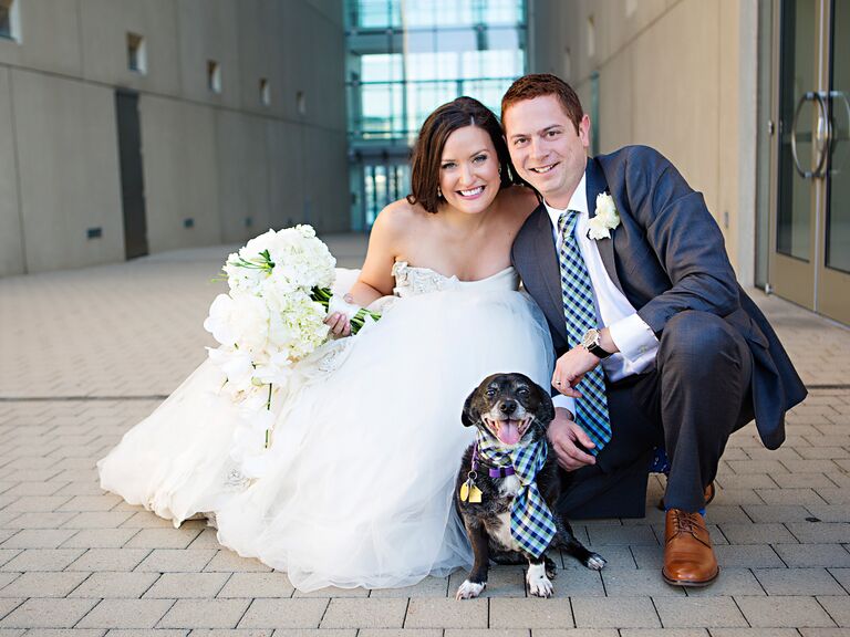 wedding dog