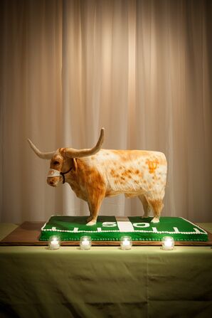Texas Longhorns Groom's Cake