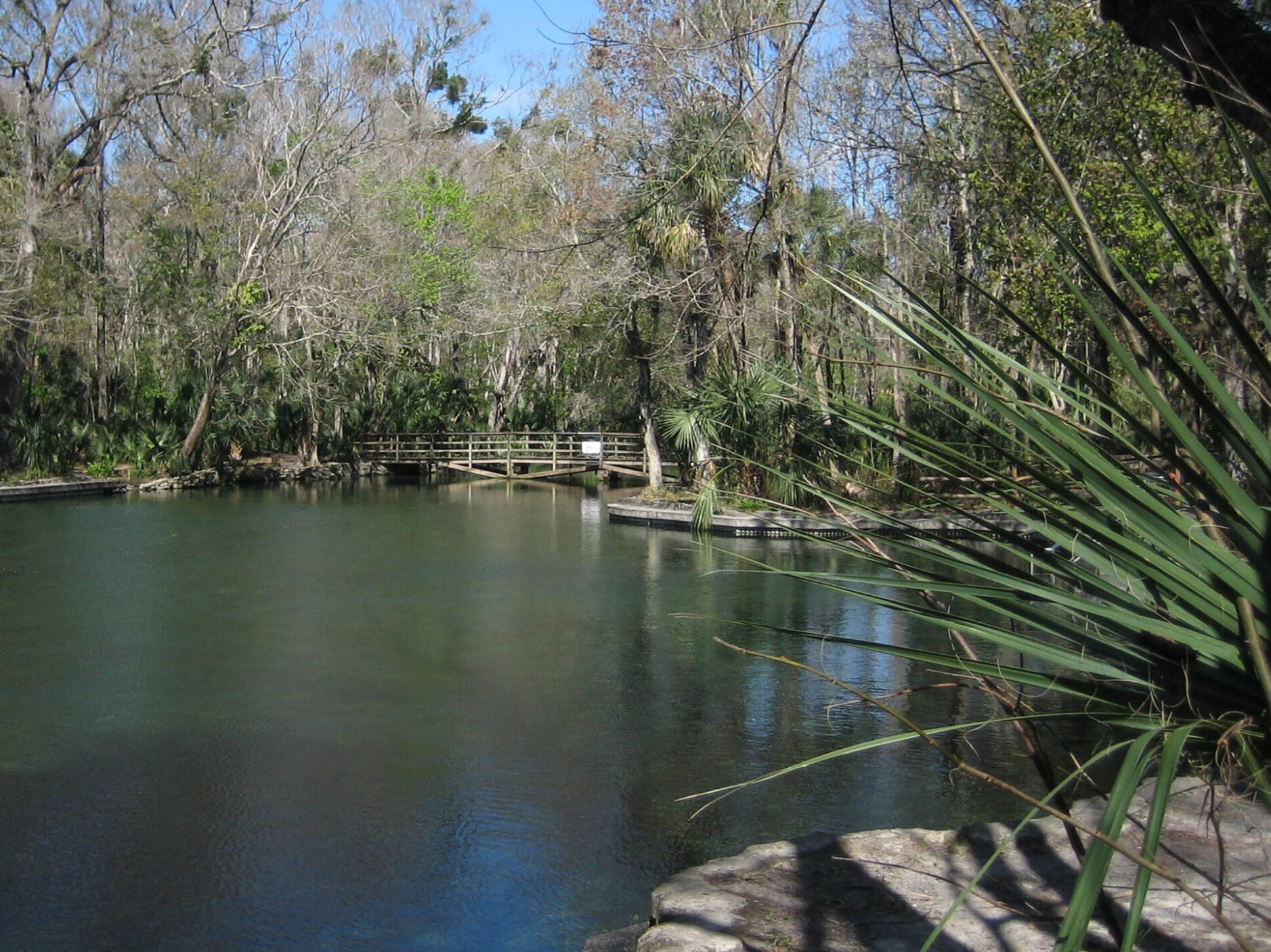 Picture of Wekiwa Springs State Park