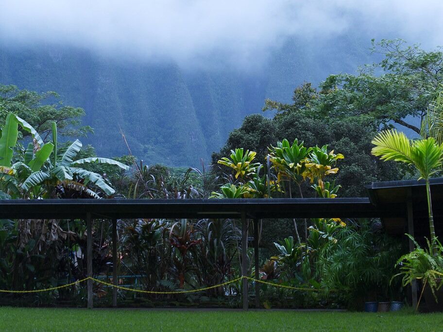 Picture of Hoʻomaluhia Botanical Garden