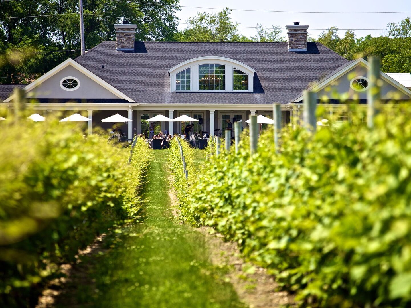 Picture of Sparkling Pointe Vineyards & Winery