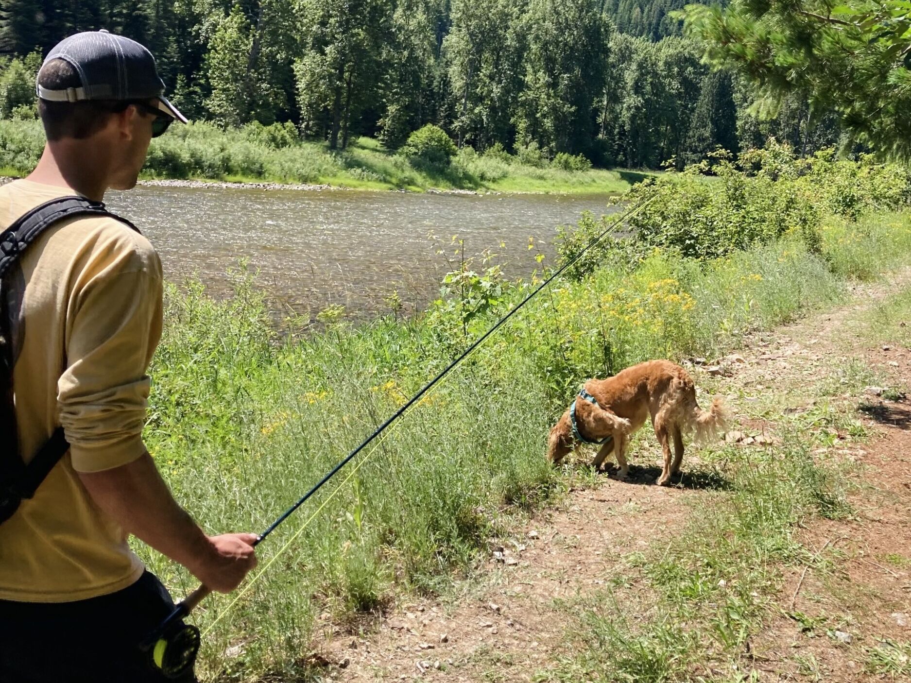 Picture of Fly Fishing