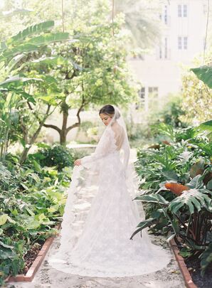 Classic Bride in Lace Wedding Dress and Veil