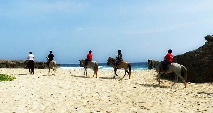 Picture of Horseback Riding