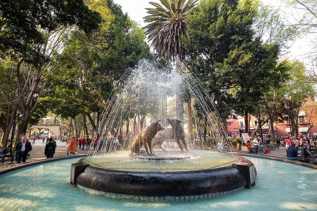 Picture of Coyoacán, CDMX