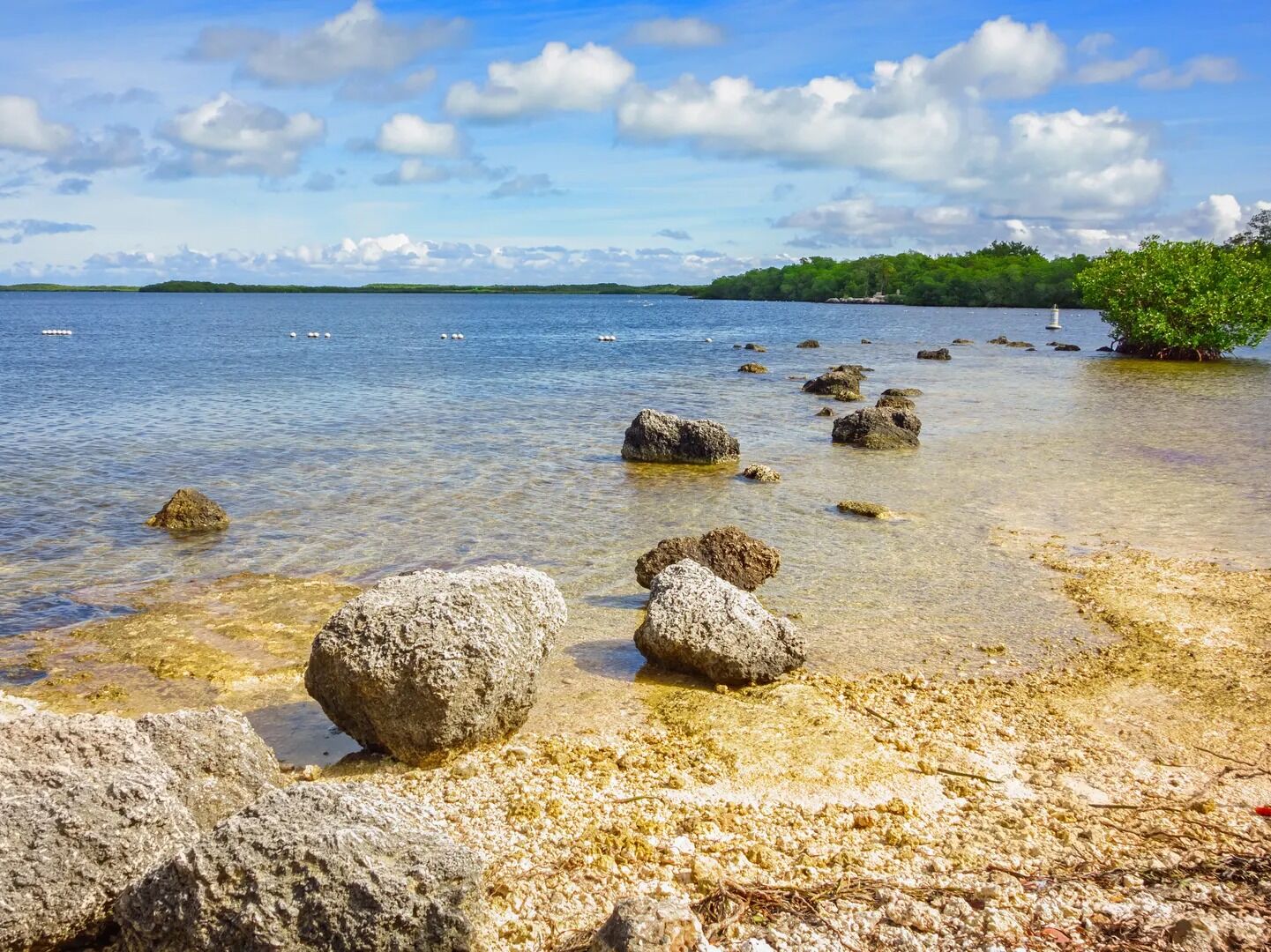 Picture of John Pennekamp Coral Reef State Park