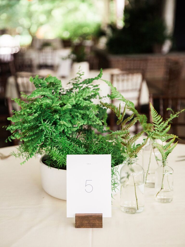 greenery centerpiece with potted ferns and individual branches in bud vases