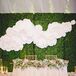 Large White Gardenia Decorative Backdrop