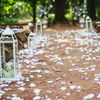 A Classic Vintage Forest Wedding at Thorpewood in Thurmont, Maryland