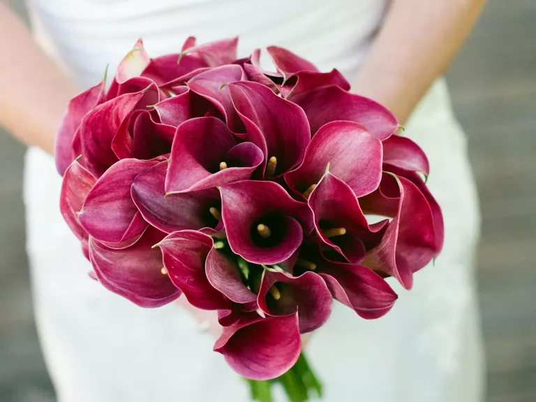 Fuchsia Calla Lily Bouquet Inspiration