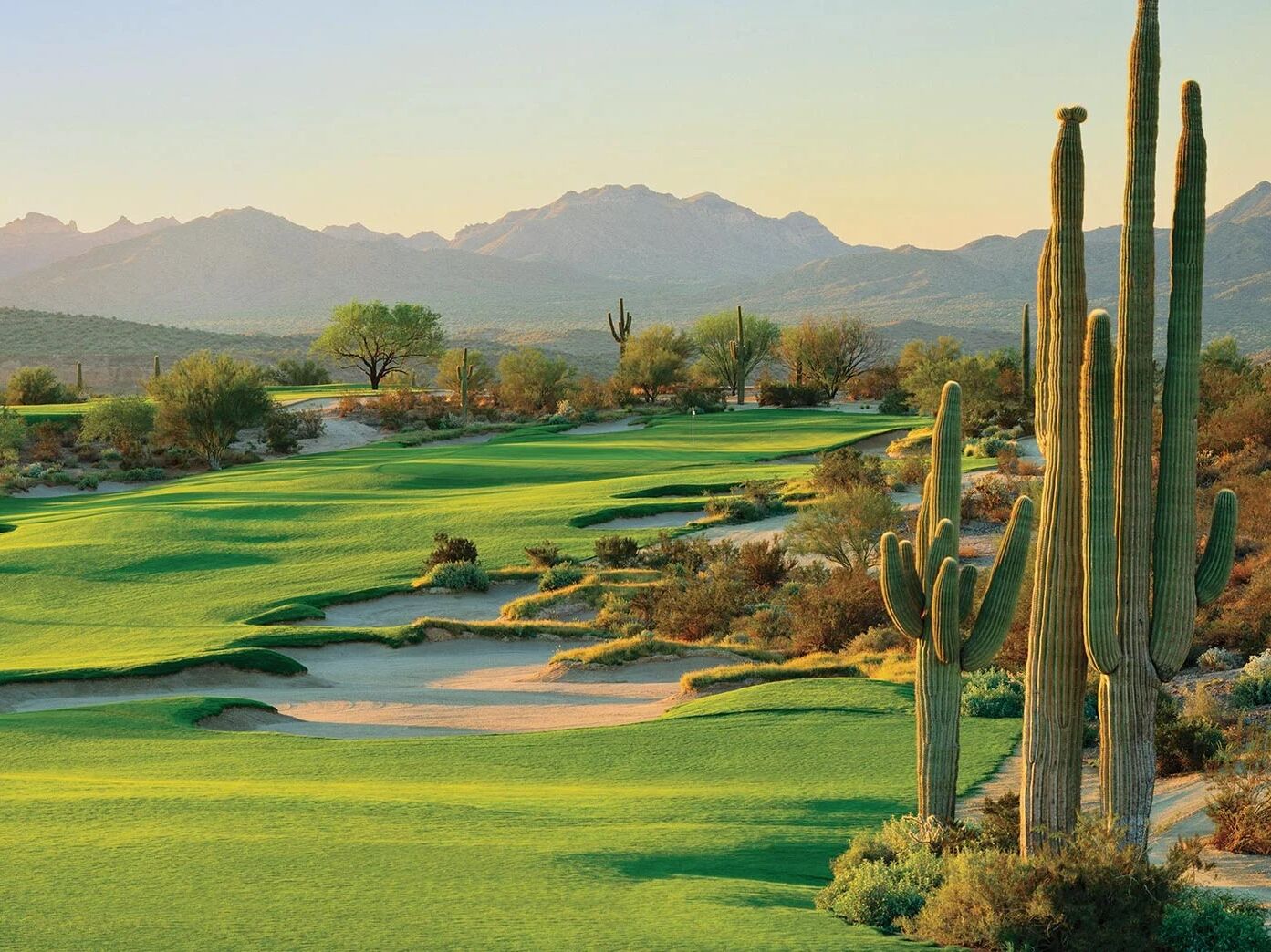 Picture of Golf