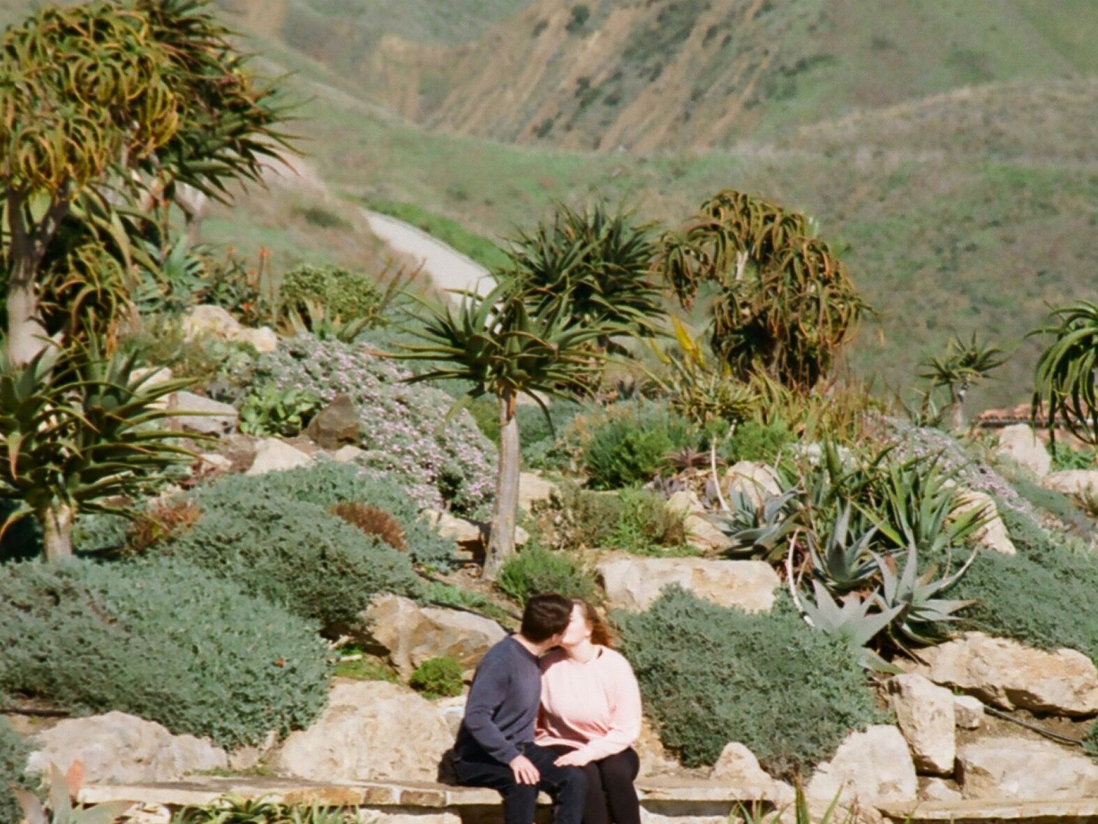 Picture of Ventura Botanical Gardens