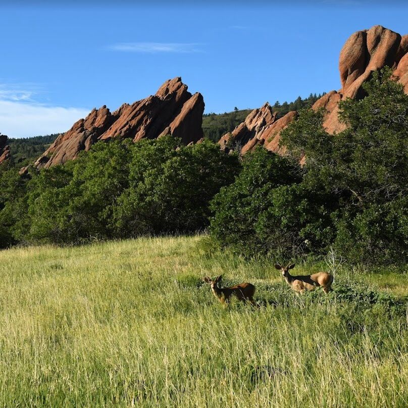 Picture of Roxborough State Park