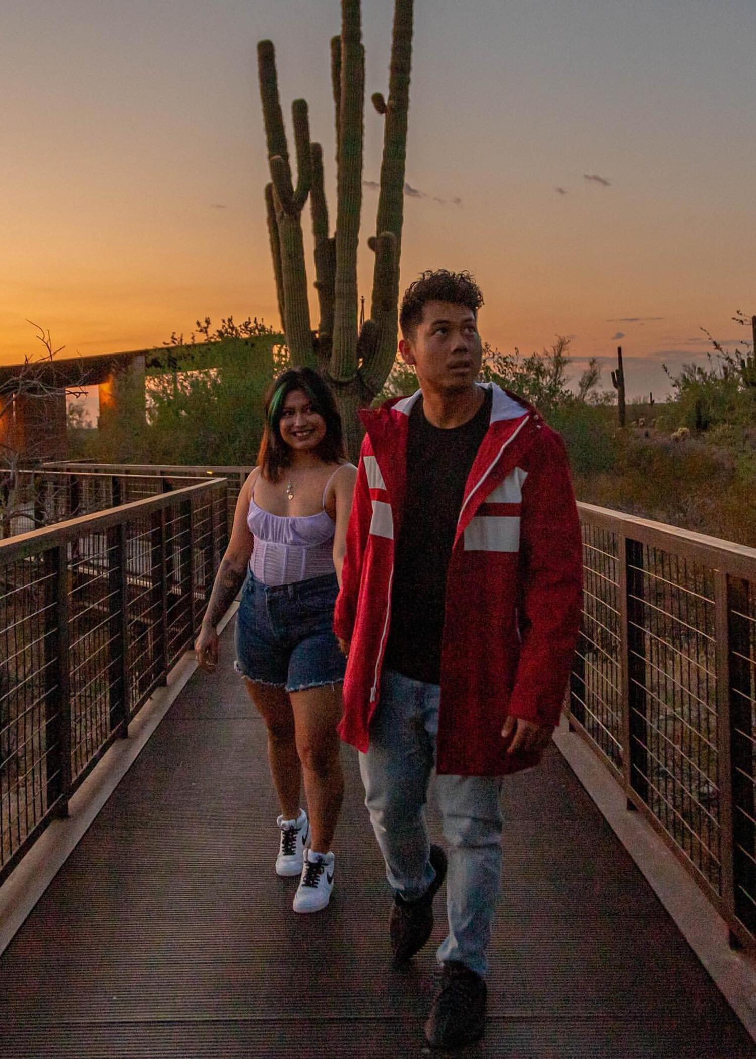 Year 5 (Phoenix, Arizona)