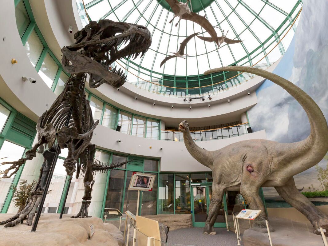 Picture of North Carolina Museum of Natural Sciences