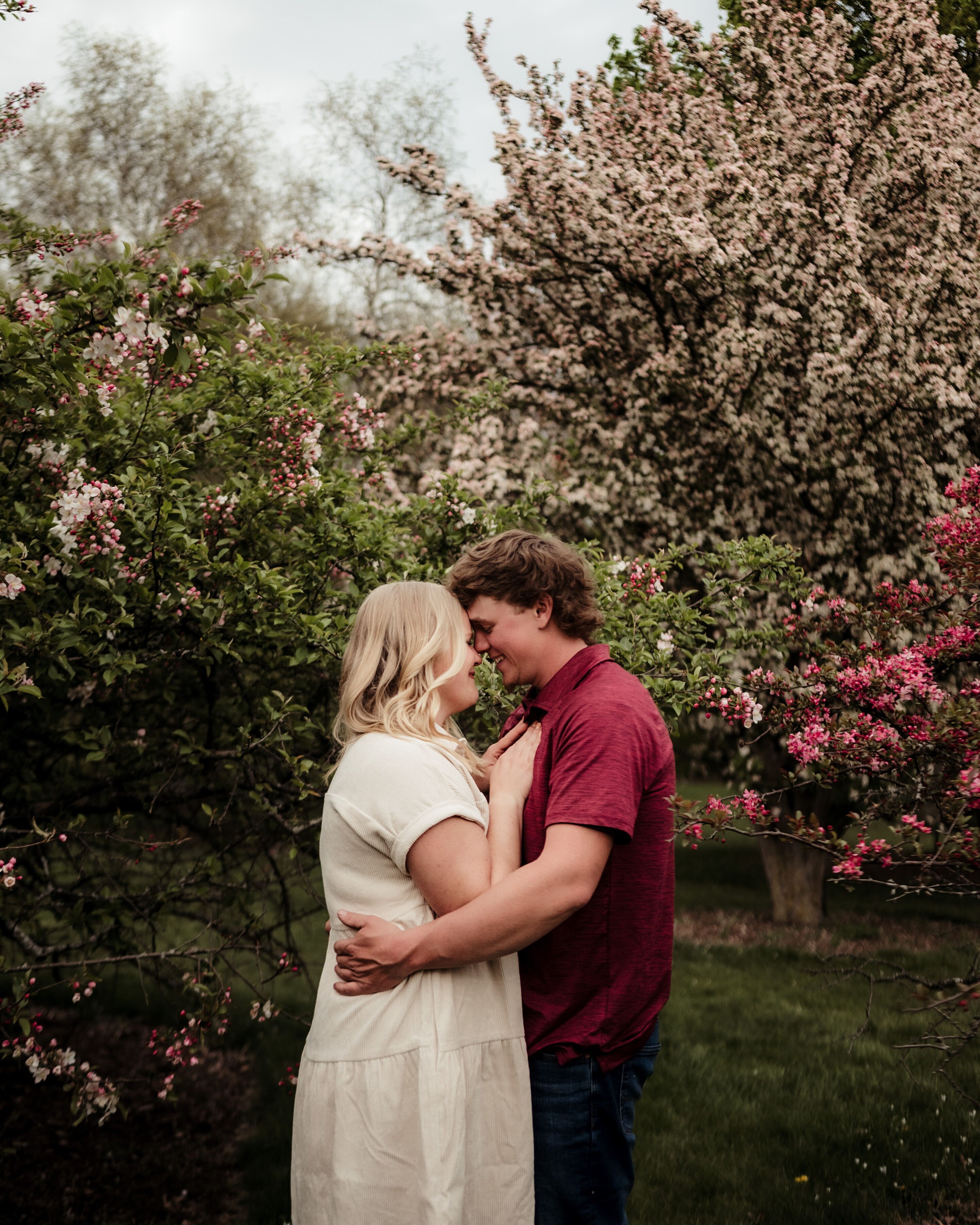 Baily & David Home Page Banner