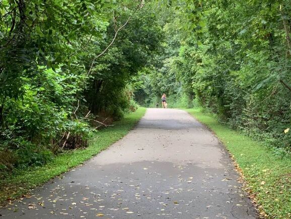 Picture of McCabe Park