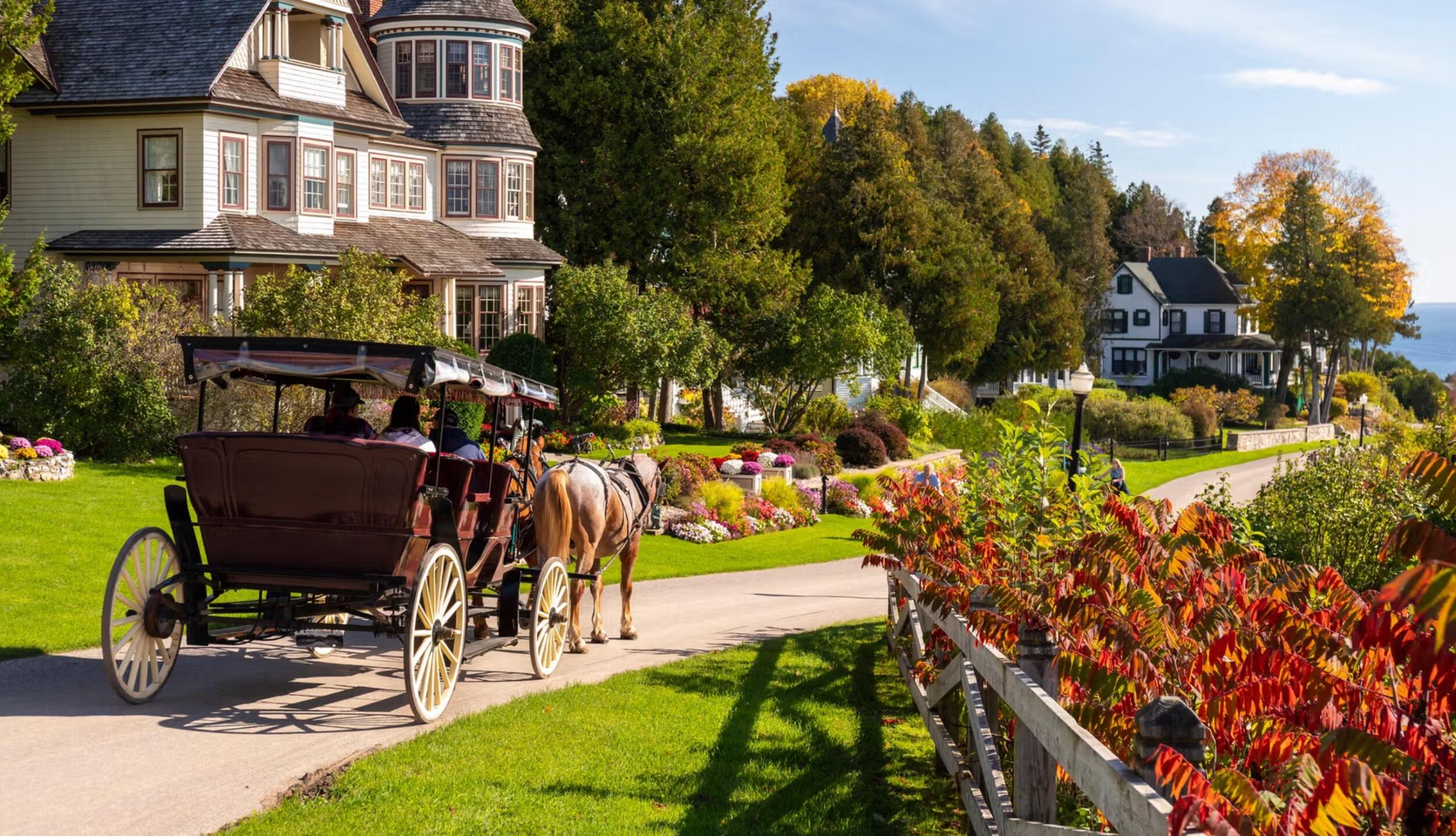 Picture of Mackinac Island