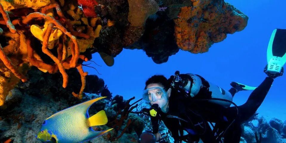 Picture of Discover Scuba Diving