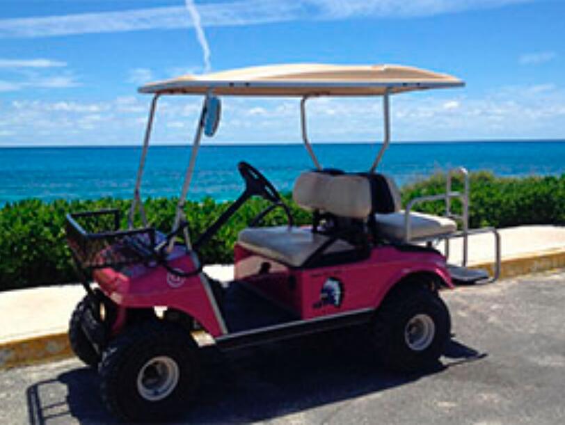 Picture of Golf Cart Indios 