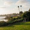 This Microwedding at Heisler Park in Laguna Beach, California, Ended With Pregnancy Announcement