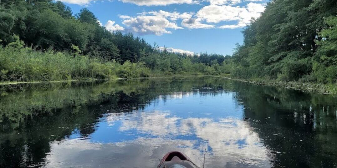 Picture of Pachaug State Forest