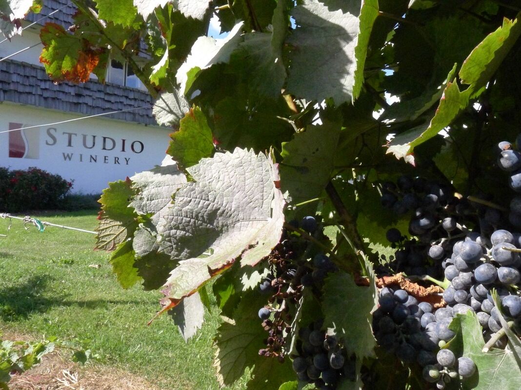 Picture of Studio Winery + Geneva Lake Distilling