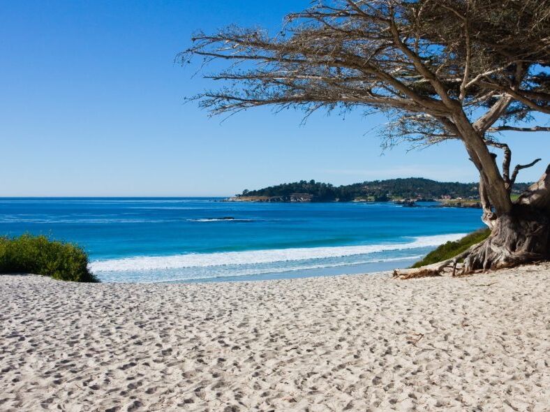 Picture of Carmel Beach