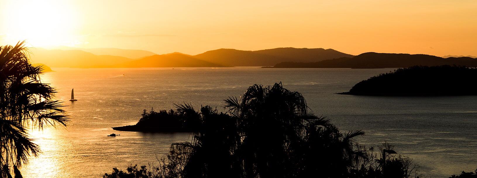 Picture of 🌅 Sunset at One Tree Hill
