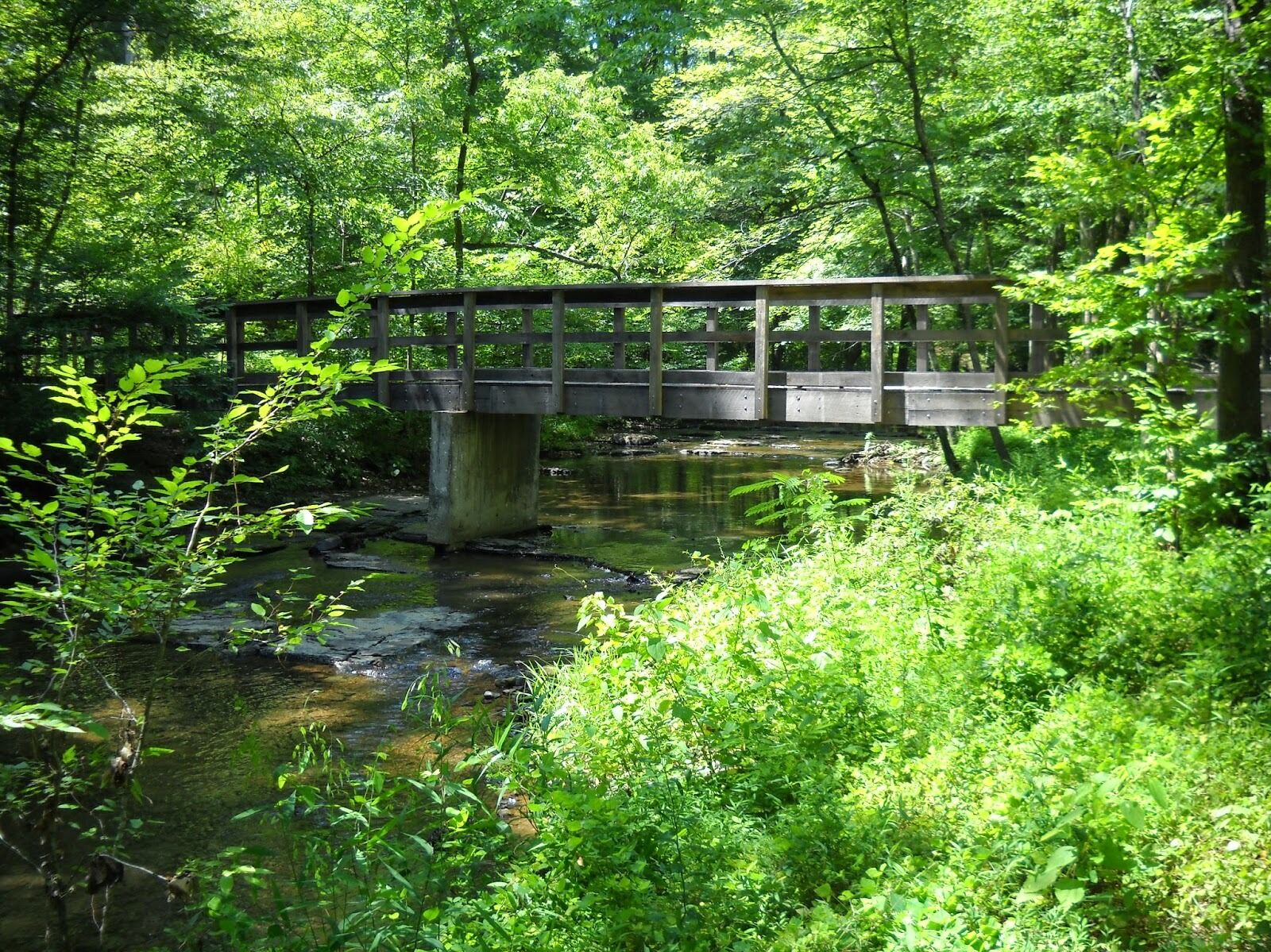 Picture of Montgomery Bell State Park