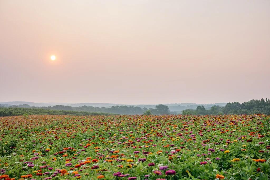 Picture of Rendleman Orchards
