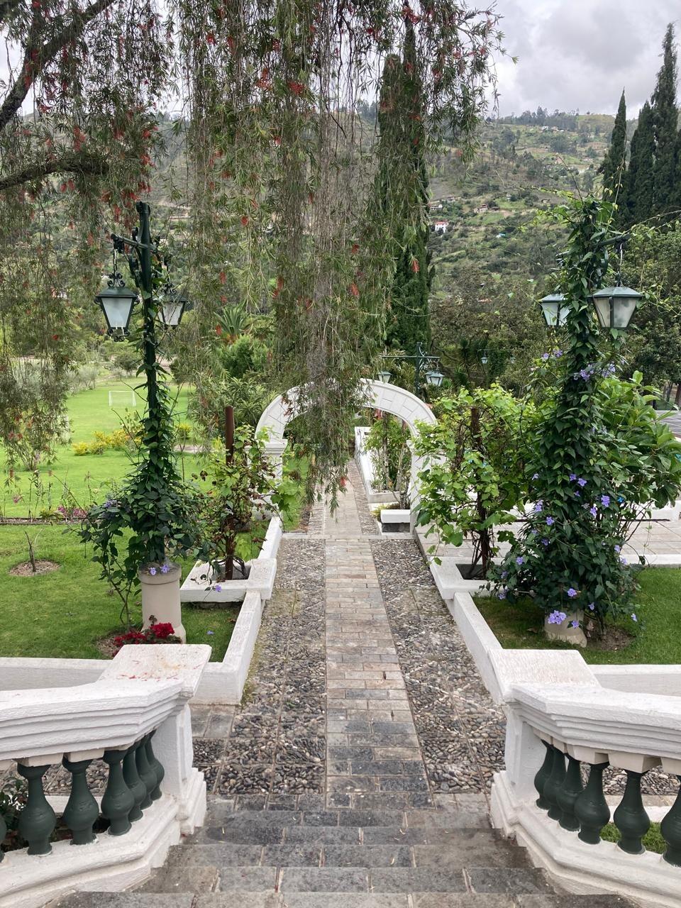Picture of Uzhupud Garden