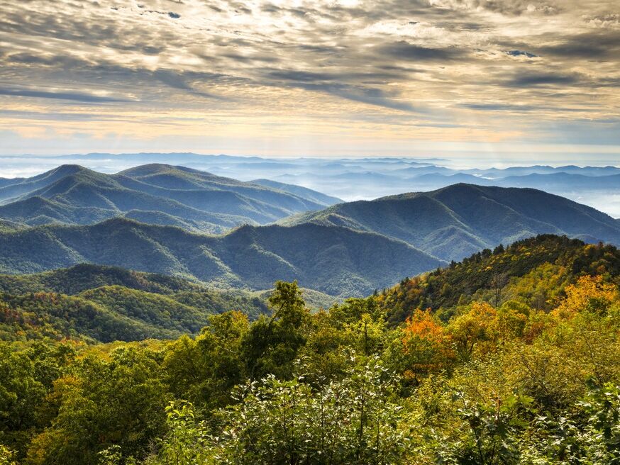 Picture of Local Hiking