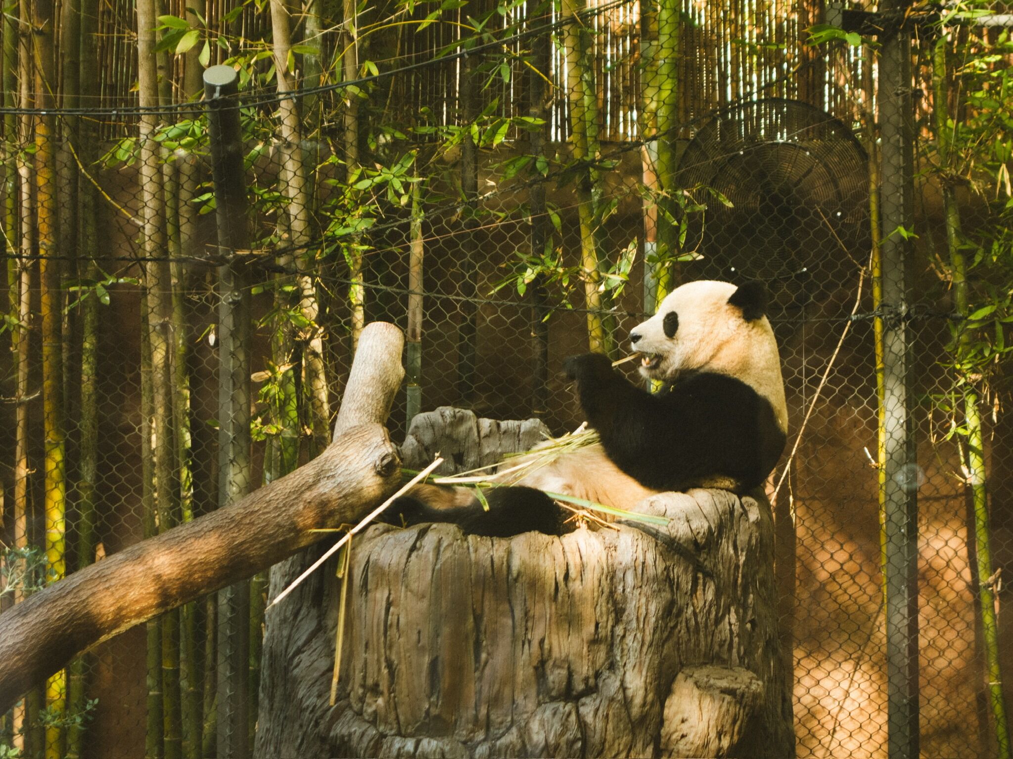 Picture of San Diego Zoo