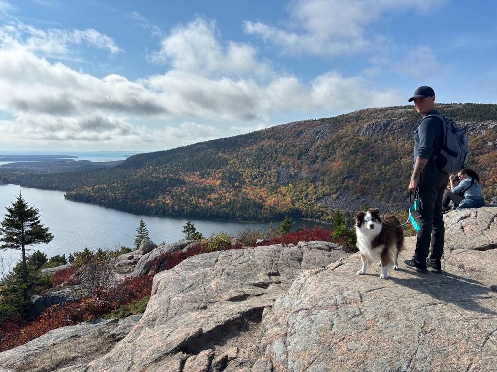 Picture of Acadia National Park