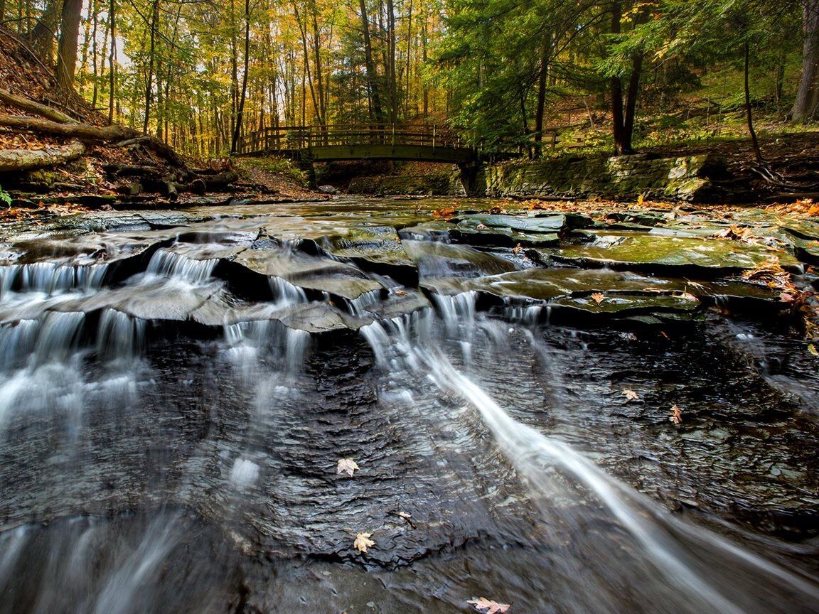 Picture of Cleveland Metroparks