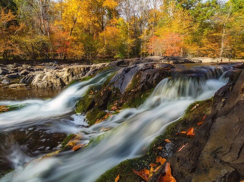 Picture of Eno River State Park