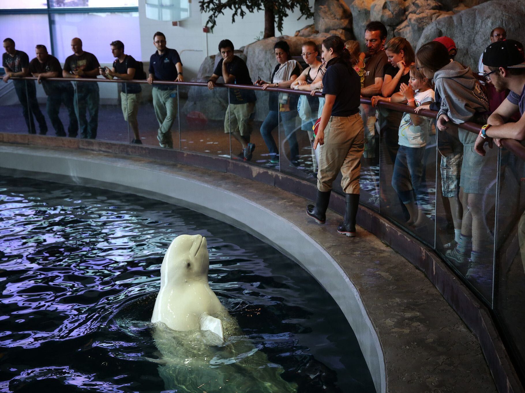 Picture of Shedd Aquarium