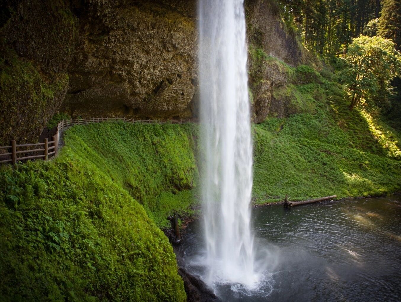 Picture of Silver Falls State Park