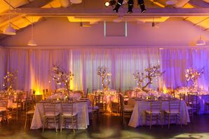 Gold Accents with Purple Lighting