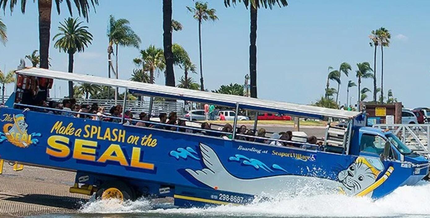 Picture of San Diego Seal Tours
