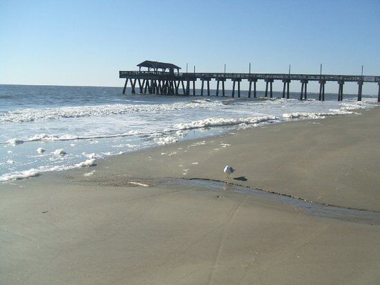 Picture of Tybee Island Beach Tour 