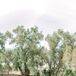 Retro Ceremony at The Frederick Loewe Estate in Palm Springs, California