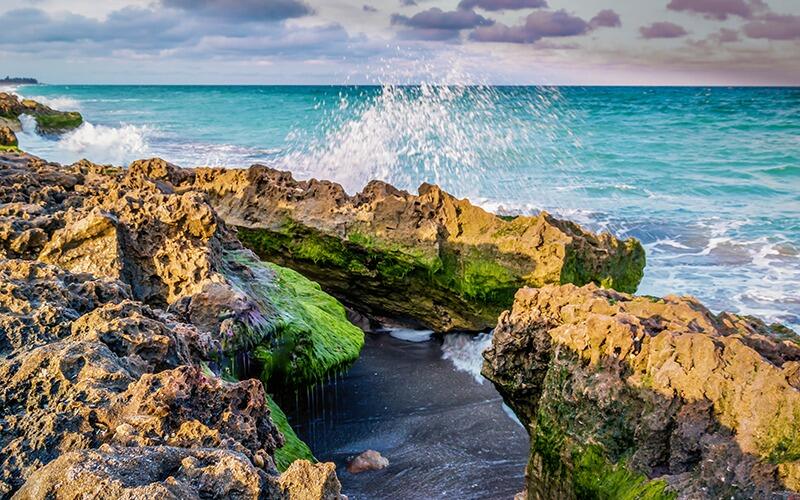 Picture of The Nature Conservancy Blowing Rocks Preserve