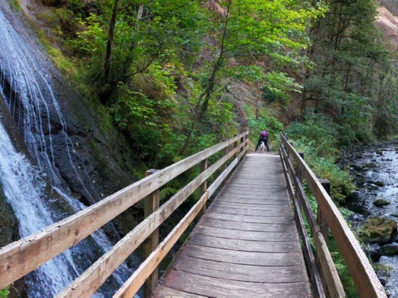 Picture of Wahclella Falls Trail