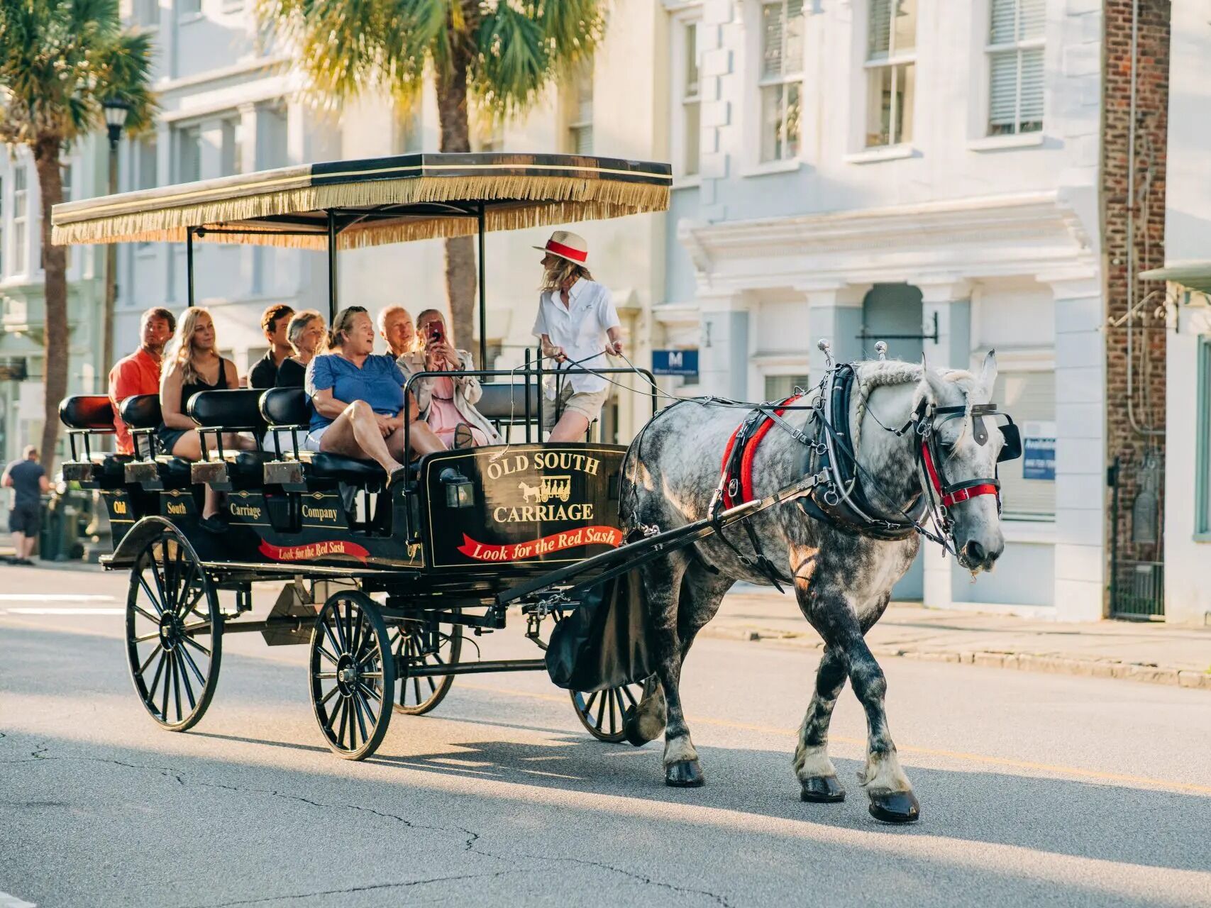 Picture of Old South Carriage Company