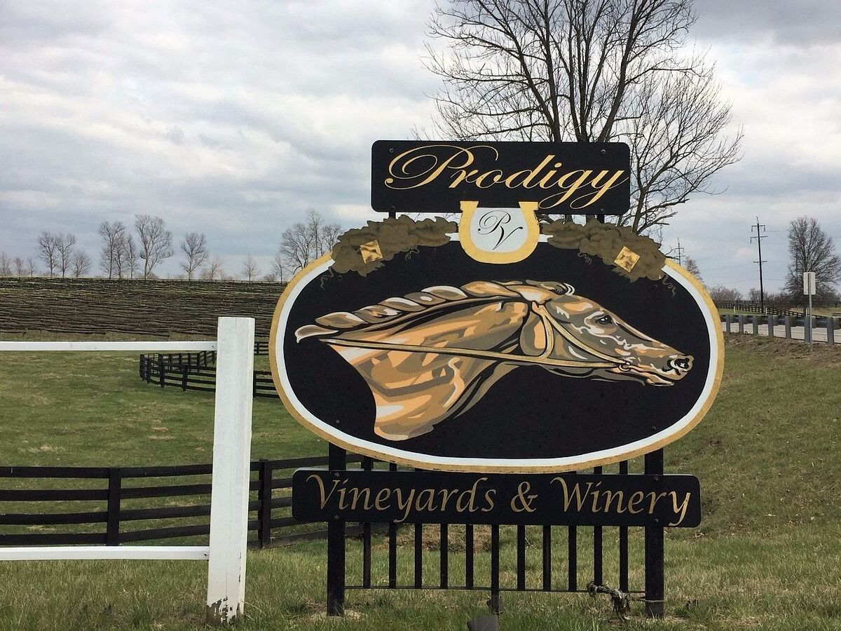 Picture of Prodigy Vineyards & Winery